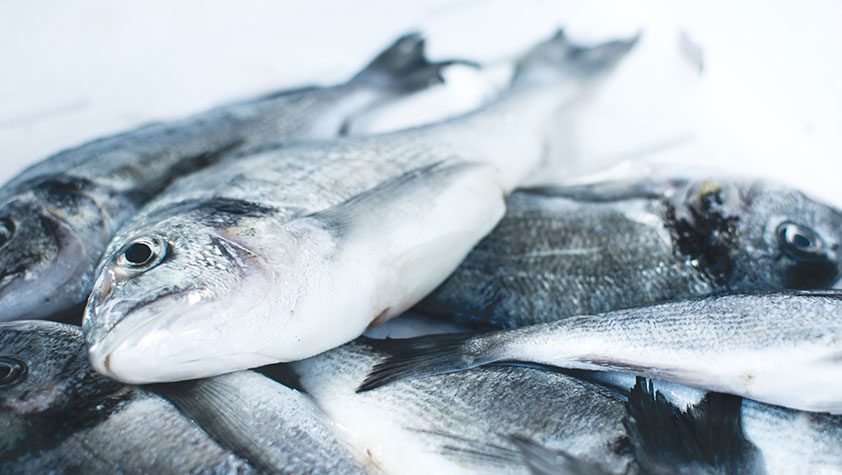 Hvilken fisk inneholder mest omega-3? Foto.